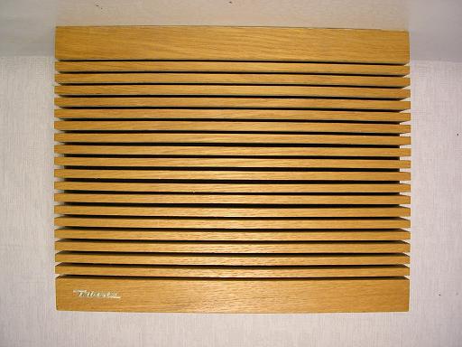 Teleste central radio speaker